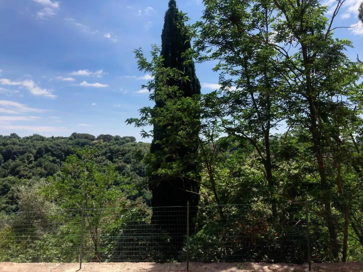 La Casa All\'Oliveto location